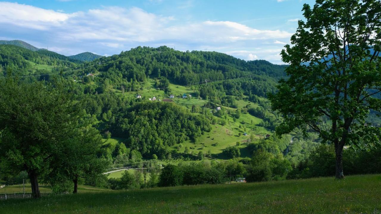 Fern Farm Eco Resort Мойковац Екстериор снимка