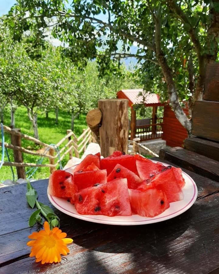 Fern Farm Eco Resort Мойковац Екстериор снимка