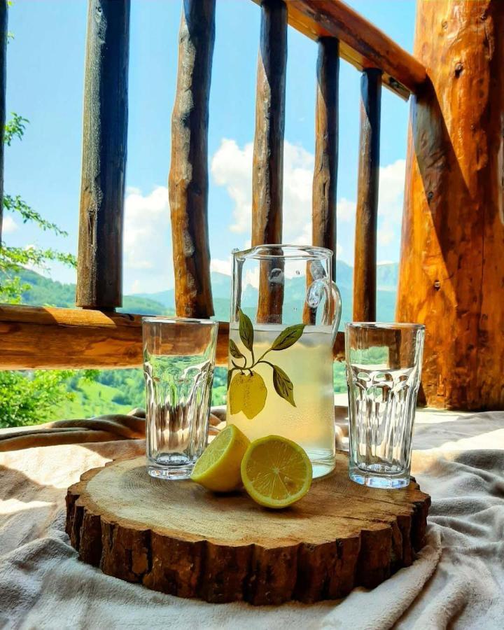 Fern Farm Eco Resort Мойковац Екстериор снимка