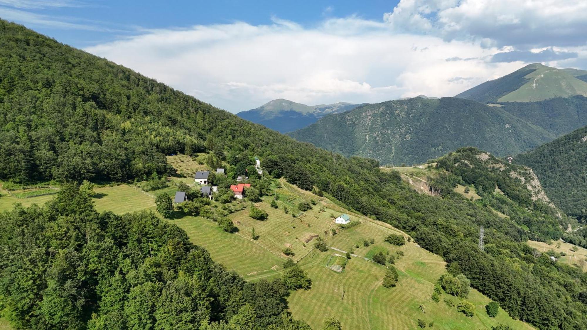 Fern Farm Eco Resort Мойковац Екстериор снимка