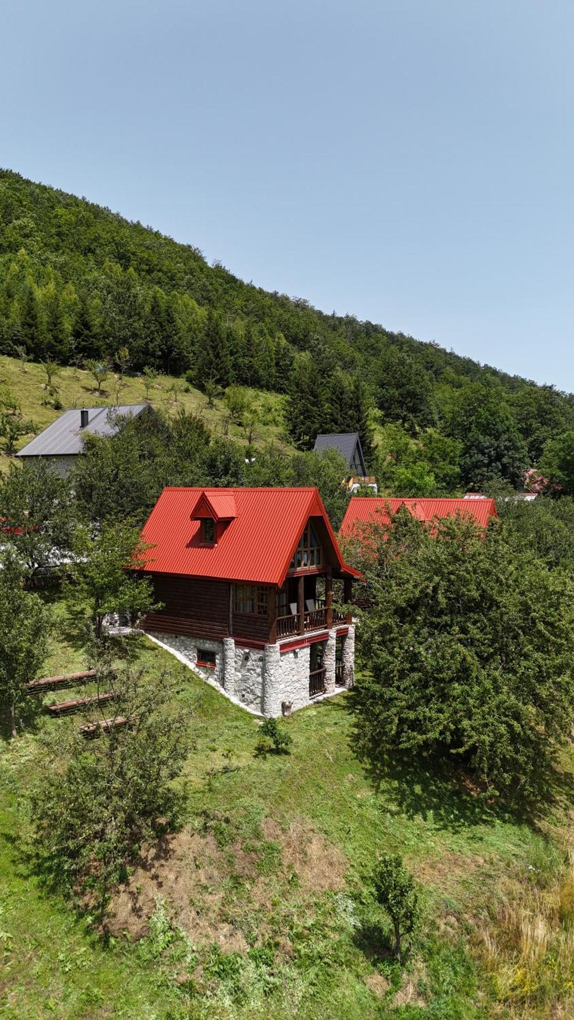 Fern Farm Eco Resort Мойковац Екстериор снимка