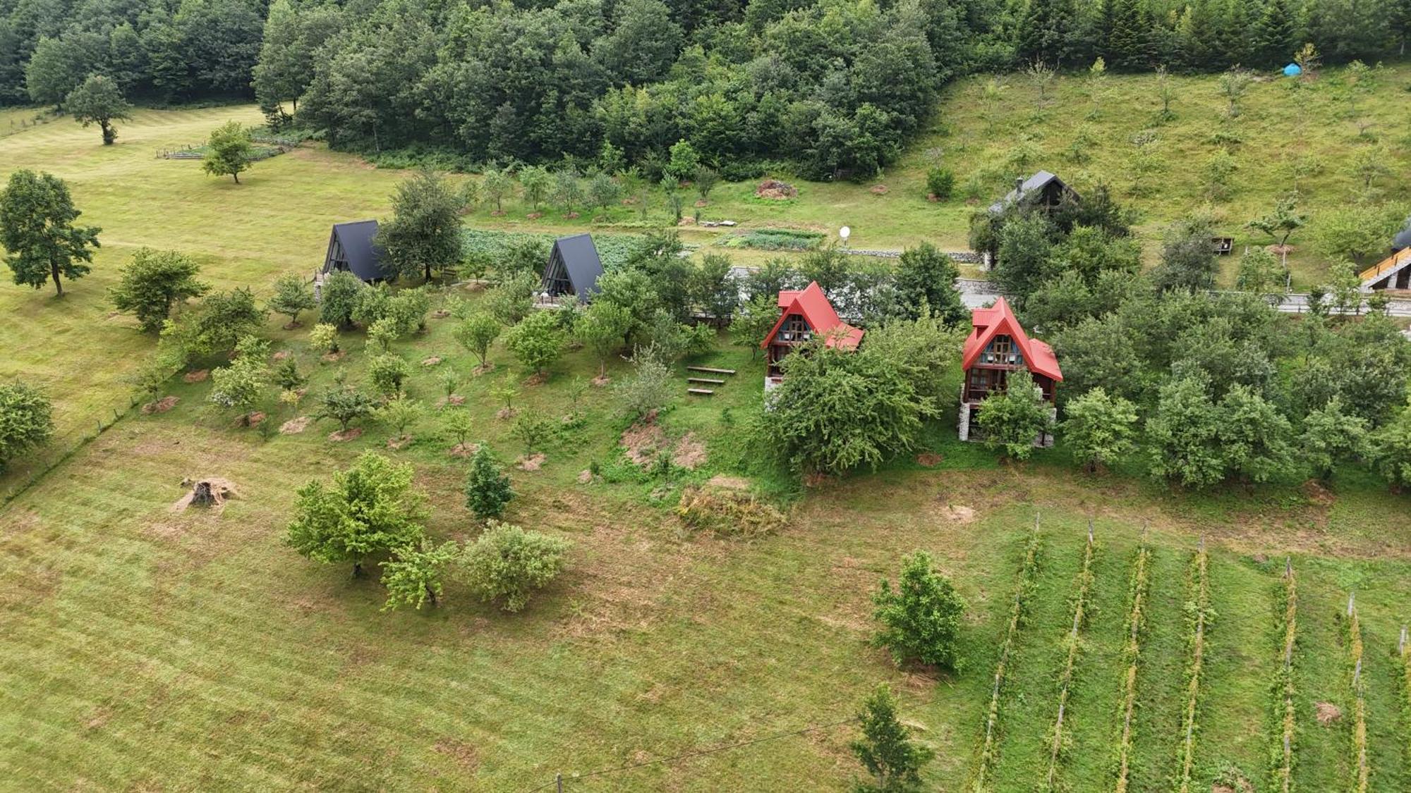 Fern Farm Eco Resort Мойковац Екстериор снимка